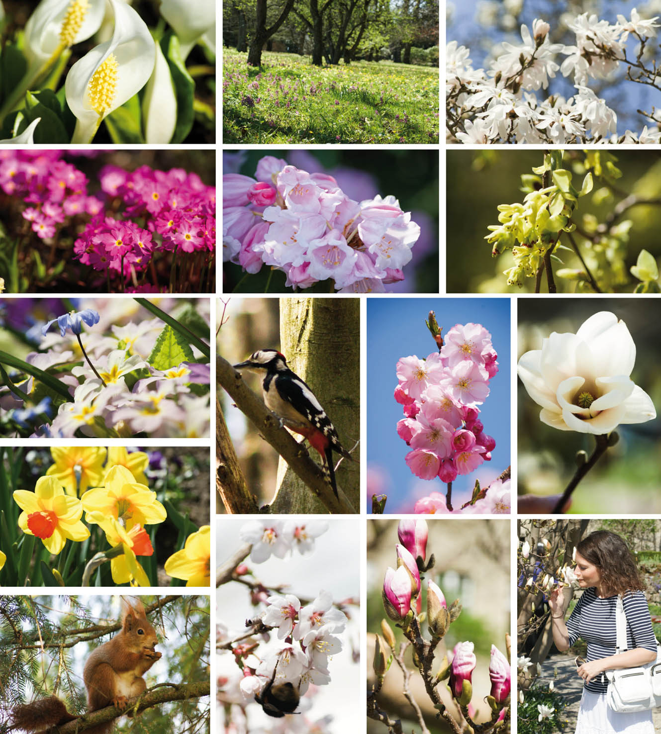 110404_botanischer_garten_munich