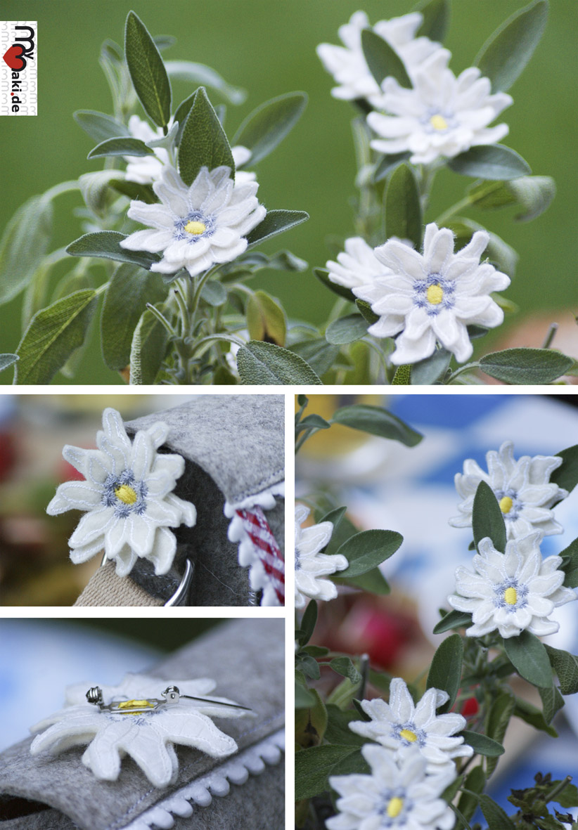 110910_edelweiss
