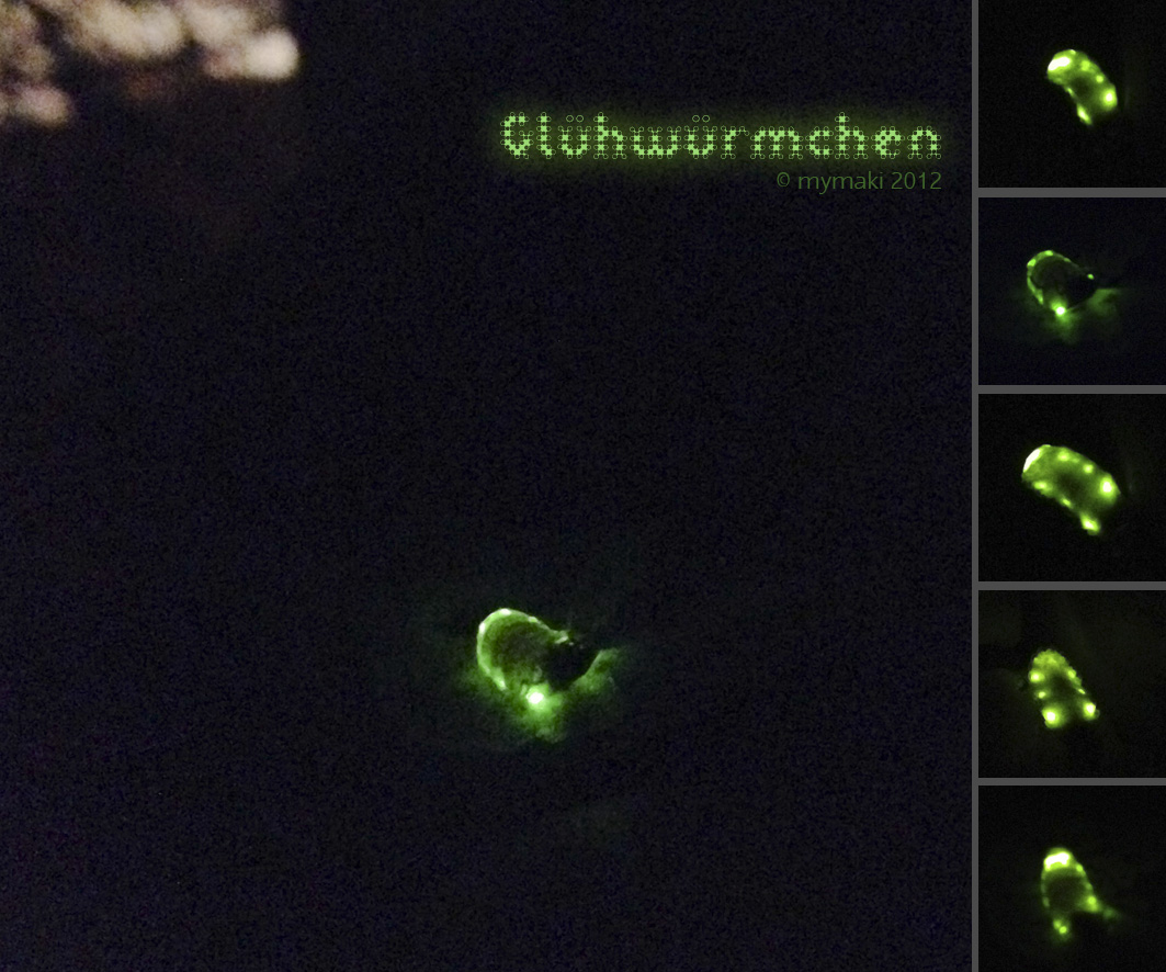 120620_gluehwuermchen